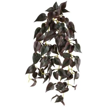 Plante suspendue « Buntnessel » JURJYS, tige, rouge bordeaux, 30 cm Plante suspendue « Buntnessel » JURJYS, tige, rouge bordeaux, 30 cm