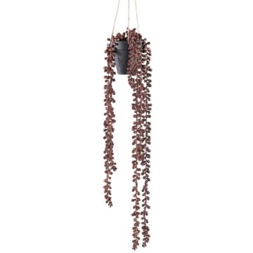 Plante artificielle de pois de senteur, suspension MURBY dans un pot décoratif, rouge-brun, 60 cm Plante artificielle de pois de senteur, suspension MURBY dans un pot décoratif, rouge-brun, 60 cm