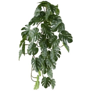 Suspension décorative Philodendron Monstera Deliciosa TRANE, piquet, 50cm Suspension décorative Philodendron Monstera Deliciosa TRANE, piquet, 50cm