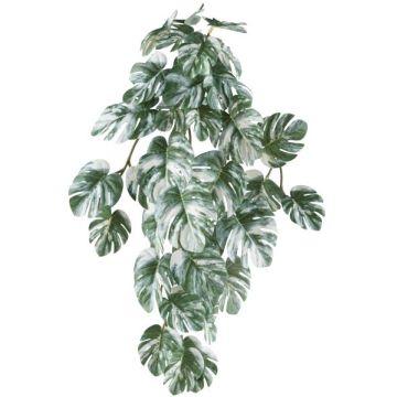 Suspension décorative Philodendron Monstera Deliciosa Variegata TRANE, piquet, vert-blanc, 50cm