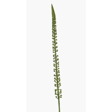 Fleur artificielle Sedum morganianum GRAXON, verte, 85 cm