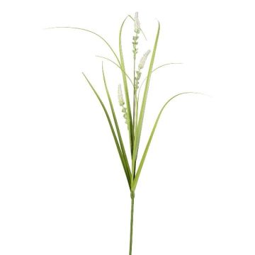 Branche décorative Pennisetum KOVLIN avec des panicules, crème-vert, 65cm