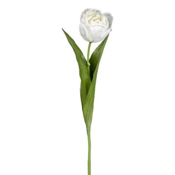 Fleur artificielle Tulipe TRIFT, blanc-vert, 50cm, Ø4,5cm Fleur artificielle Tulipe TRIFT, blanc-vert, 50cm, Ø4,5cm