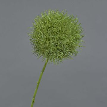 Fleur artificielle Allium GLORF, vert, 75cm