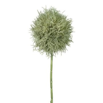 Fleur artificielle Allium GLORF, gris-vert, 75cm