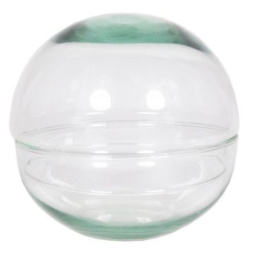Terrarium pour plantes succulentes en verre BRYSON, boule, transparent, 12cm, Ø12cm