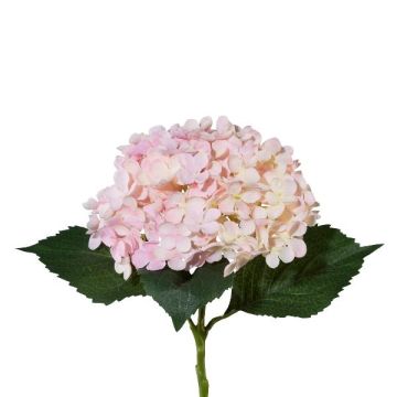 Fleur artificielle Hortensia ZURTO, rose clair, 55cm