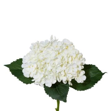 Fleur artificielle Hortensia ZURTO, blanc, 55cm Fleur artificielle Hortensia ZURTO, blanc, 55cm