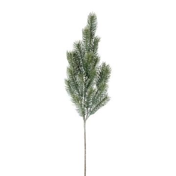Branche décorative Épicéa bleu SLOVAN, givré, blanc-vert, 60cm