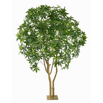 Arbre artificiel Pachira RAXELI sur socle, troncs artificiels, vert, 285 cm