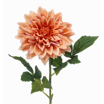 Fleur artificielle dahlia ZELRAN, abricot, 70 cm, Ø 15 cm Fleur artificielle dahlia ZELRAN, abricot, 70 cm, Ø 15 cm