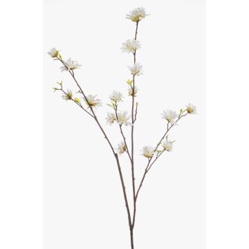 Branche décorative de noisetier ZAVNER avec fleurs, blanche, 110 cm Branche décorative de noisetier ZAVNER avec fleurs, blanche, 110 cm