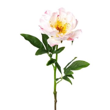 Fleur artificielle Pivoine PEFIN, rose, 50cm Fleur artificielle Pivoine PEFIN, rose, 50cm