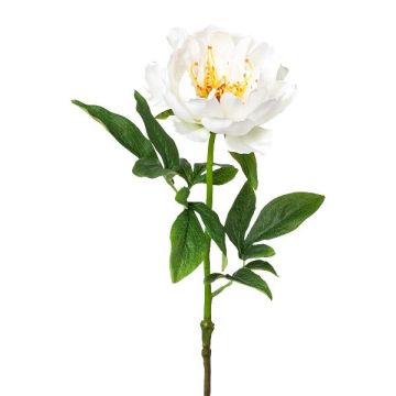 Fleur artificielle Pivoine PEFIN, blanc, 50cm