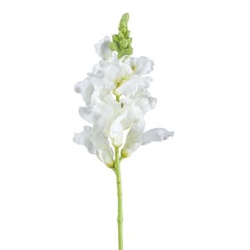 Fleur artificielle « gueule-de-loup » SIRKALE, blanche, 40 cm, Ø 11 cm Fleur artificielle « gueule-de-loup » SIRKALE, blanche, 40 cm, Ø 11 cm