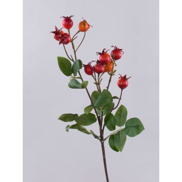 Branche décorative de rose de pomme LOPUNY avec des cynorrhodons, orange, 70 cm