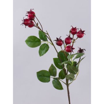 Branche décorative de rose de pomme de terre LOPUNY avec cynorrhodons, rouge, 70 cm Branche décorative de rose de pomme de terre LOPUNY avec cynorrhodons, rouge, 70 cm
