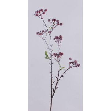 Branche décorative de baies des neiges SOPUNY, baies, recouverte de neige, rouge et blanc, 70 cm