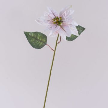 Poinsettia artificiel en velours LIBASSE, blanc-rose, 45 cm