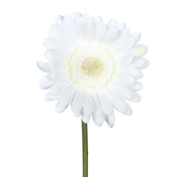 Fleur artificielle Gerbera TUNZA, blanc, 50cm Fleur artificielle Gerbera TUNZA, blanc, 50cm