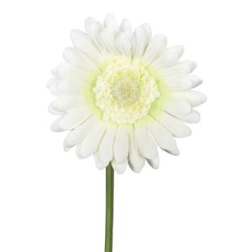 Fleur artificielle Gerbera TUNZA, crème, 50cm Fleur artificielle Gerbera TUNZA, crème, 50cm