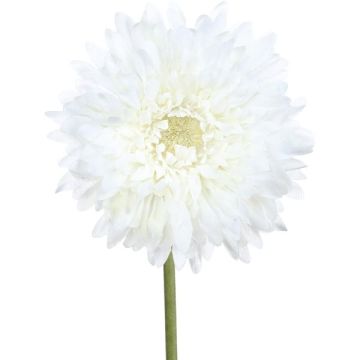Fleur artificielle Gerbera MOLZA, blanc, 60cm Fleur artificielle Gerbera MOLZA, blanc, 60cm