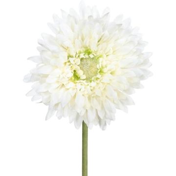 Fleur artificielle Gerbera MOLZA, crème, 60cm Fleur artificielle Gerbera MOLZA, crème, 60cm