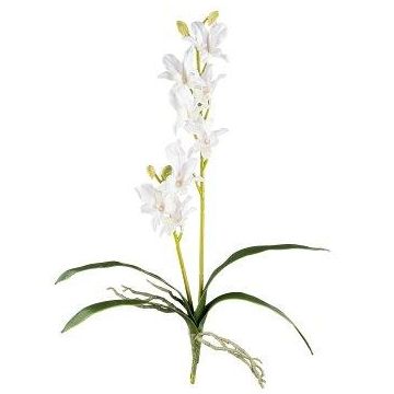Orchidée Dendrobium Sonia artificielle NELTI, piquet, racines, blanc, 60cm Orchidée Dendrobium Sonia artificielle NELTI, piquet, racines, blanc, 60cm
