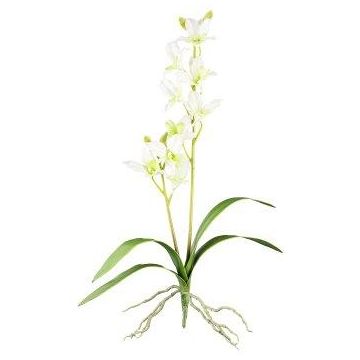 Orchidée Dendrobium Sonia artificielle NELTI, piquet, racines, vert clair, 60cm Orchidée Dendrobium Sonia artificielle NELTI, piquet, racines, vert clair, 60cm