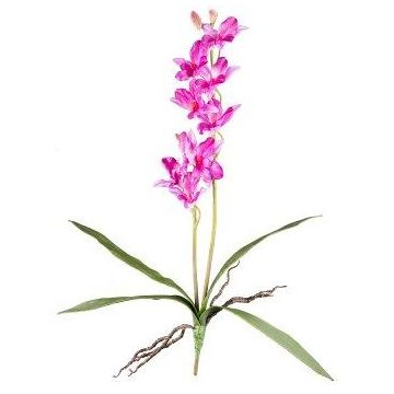 Orchidée Dendrobium Sonia artificielle NELTI, piquet, racines, lilas, 60cm Orchidée Dendrobium Sonia artificielle NELTI, piquet, racines, lilas, 60cm
