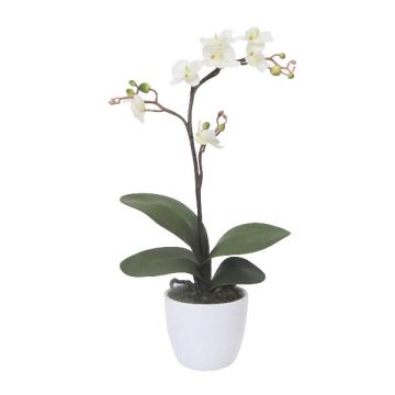 Orchidée Phalaenopsis artificielle MALZA, piquet, racines, crème, 55cm
