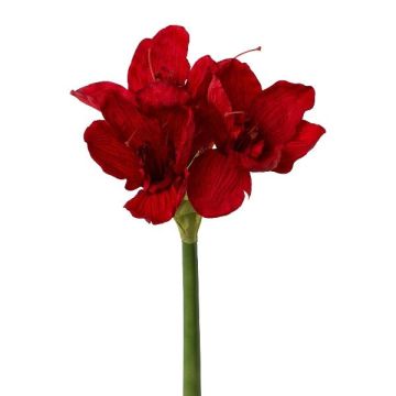 Fleur artificielle Amaryllis WELBA, rouge, 65cm