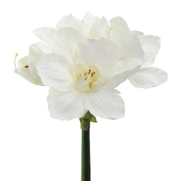 Fleur artificielle Amaryllis WELBA, blanc, 65cm