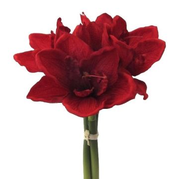 Bouquet de fleurs artificielles Amaryllis LOMIRE, rouge, 30cm Bouquet de fleurs artificielles Amaryllis LOMIRE, rouge, 30cm