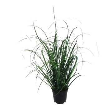 Herbe artificielle Pennisetum KIVRA, vert, 50cm