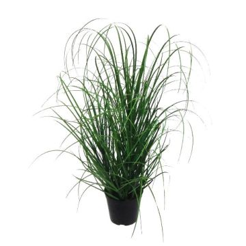 Herbe artificielle Pennisetum KIVRA, vert, 60cm
