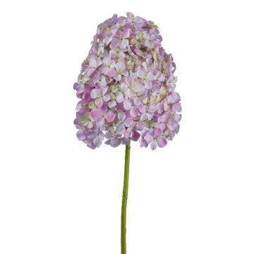 Fleur décorative Hortensia paniculé AURONAS, rose clair, 85cm