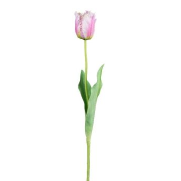 Fleur artificielle Tulipe perroquet SOLAL, rose, 65cm