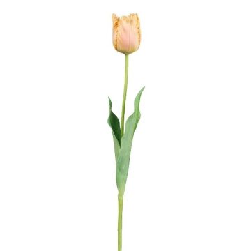 Fleur artificielle Tulipe perroquet SOLAL, abricot, 65cm