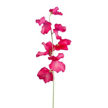 Fleur artificielle Lathyrus latifolius TERRAT, rose fuchsia, 50cm