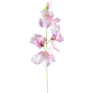 Fleur artificielle Lathyrus latifolius TERRAT, vieux rose-vert, 50cm