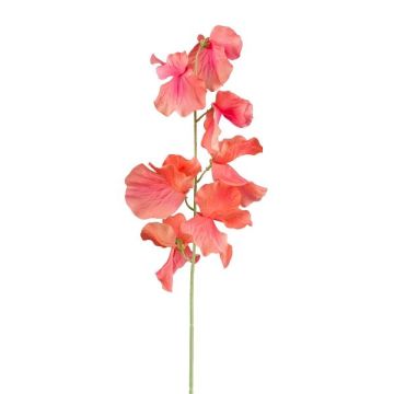 Fleur artificielle Lathyrus latifolius TERRAT, saumon, 50cm
