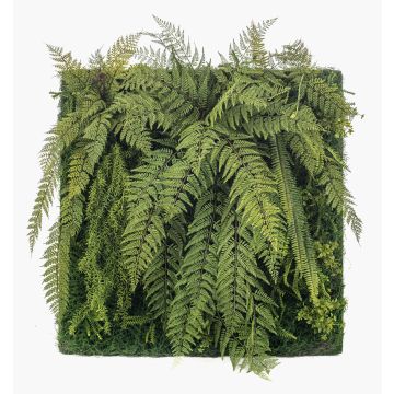 Tapis en plastique « fougère asperge » ZALVEN, vert, 100 x 100 cm Tapis en plastique « fougère asperge » ZALVEN, vert, 100 x 100 cm
