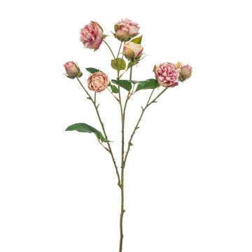 Branche artificielle de rose chou TRUVOL, rose-crème, 65 cm, Ø 2-6 cm