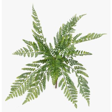 Plante artificielle « fougère à cheveux de femme » STIGOR sur tige, crossdoor, verte, 55 cm Plante artificielle « fougère à cheveux de femme » STIGOR sur tige, crossdoor, verte, 55 cm