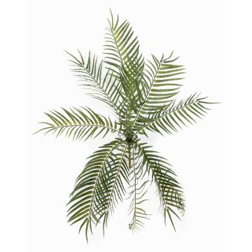 Plante artificielle « fougère épée » MOGRAL sur tige, crossdoor, verte, 70 cm Plante artificielle « fougère épée » MOGRAL sur tige, crossdoor, verte, 70 cm