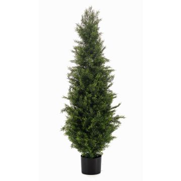 Cèdre artificiel ZARGEN, crossdoor, vert, 120 cm