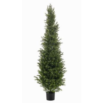 Cèdre artificiel ZARGEN, crossdoor, vert, 150 cm