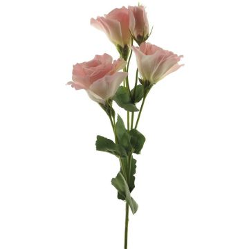 Faux Lisianthus ALARONA, rose-crème, 55cm