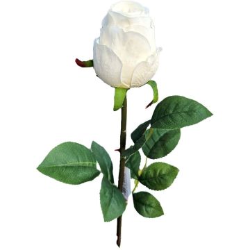 Rose artificielle SUNJIK, crème, 75 cm, Ø 7 cm
